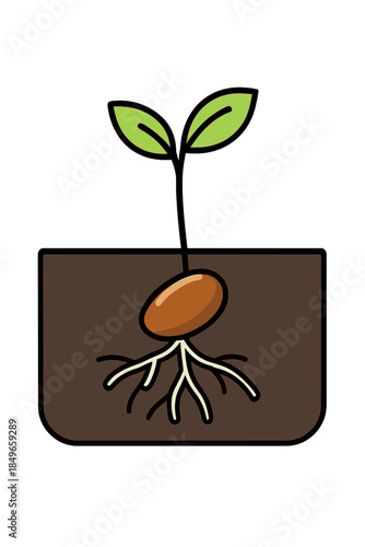 Sprouting Seed with Roots in Soil