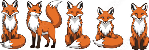Cute cartoon fox illustration set, adorable woodland animal characters, multiple fox poses collection, wildlife mascot design, isolated white background vector art