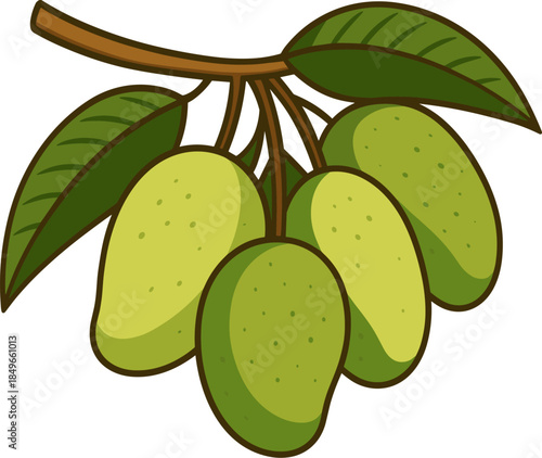 Hanging mangoes on branch with green leaves, tropical fruit cluster in cartoon style with speckles and soft shading, garden orchard scene