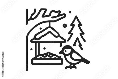 Bird feeding at a bird feeder in winter with a pine tree