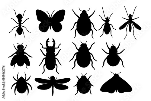Black Silhouettes of Various Insects on a Dark Gradient Background