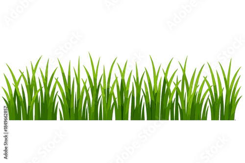 Vibrant green grass blades against a gradient background