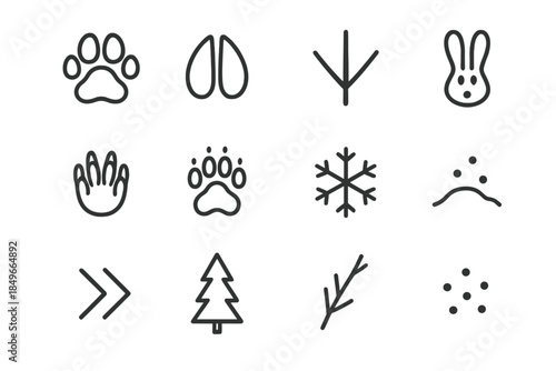 Winter Wildlife Tracks. Winter wildlife footprints. Line outline icon set of Winter wildlife footprints: paw