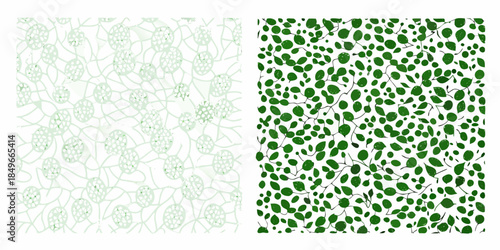 A comparison of two leaf patterns sparse versus dense foliage arrangement