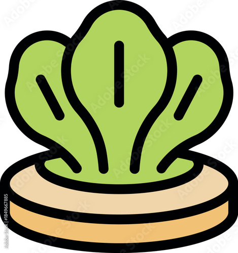 Hydroponic pak choi growing on round platform, innovative agriculture and modern farming