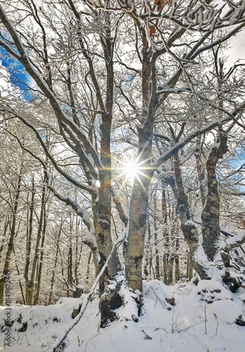 Mount Autore Livata (Subiaco, Italy) - The snow capped peaks mountains in the province of Roma, Lazio region, in Simbruini mounts. Here a beautiful white landscape.