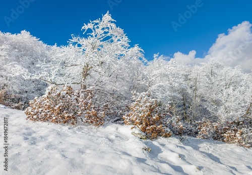Mount Autore Livata (Subiaco, Italy) - The snow capped peaks mountains in the province of Roma, Lazio region, in Simbruini mounts. Here a beautiful white landscape.