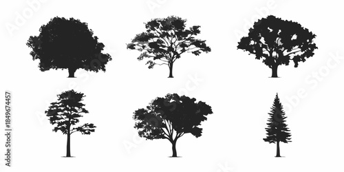 Silhouettes of various trees against a plain white background