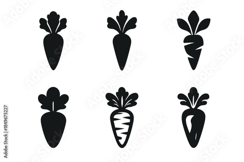 Organic Carrot Logo Set. Organic produce. Icon set. Set Logo of Organic produce: carrot bunch with tops. harmonious logo variations of the same emblematic