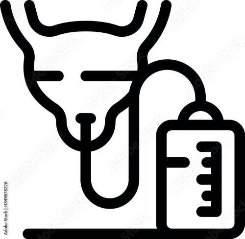 Urine bag is collecting fluid from bladder for medical analysis, showing a concept of urology and healthcare