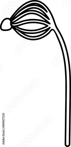 Coloring page with spruce sapling with needles