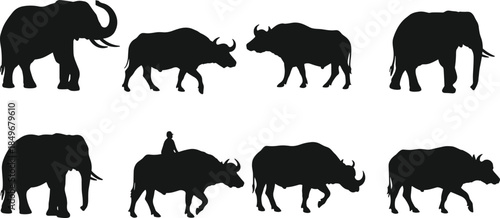 Elephant and buffalo silhouettes, black and white, wildlife illustration, animal comparison, rider on buffalo, nature design, African animals, educational 