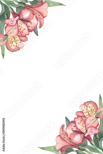 Vertical botany frame, alstroemeria flowers, leaves. Hand-painted watercolor illustration isolated on white background for invitations, branding, packaging, stationery, template for design projects.