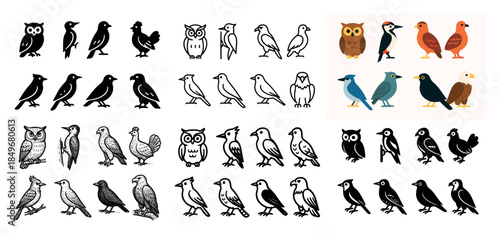 Various bird illustrations collection