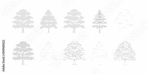Silhouettes of various evergreen and deciduous trees in a gray palette