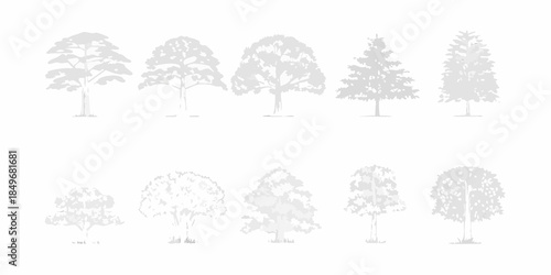A collection of sketched trees in various shapes and forms grayscale