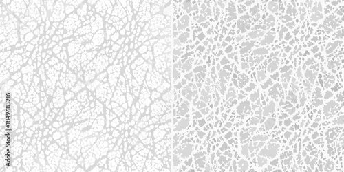 Abstract background with a delicate intricate network of branching light gray lines