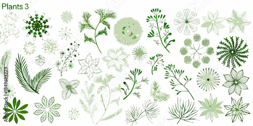 An arrangement of various green botanical illustrations and floral designs