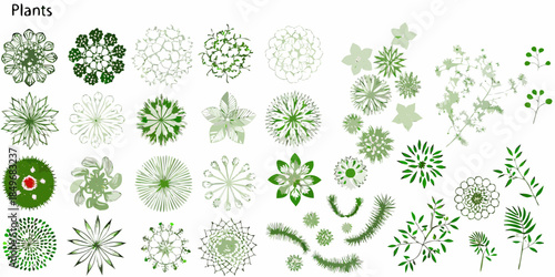 An assortment of green plant illustrations and botanical arrangements on a white background