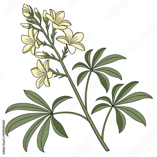 Botanical Eco Plant Illustration  Clean Vector  Pu (3) Vector Illustration Isolated on White Background