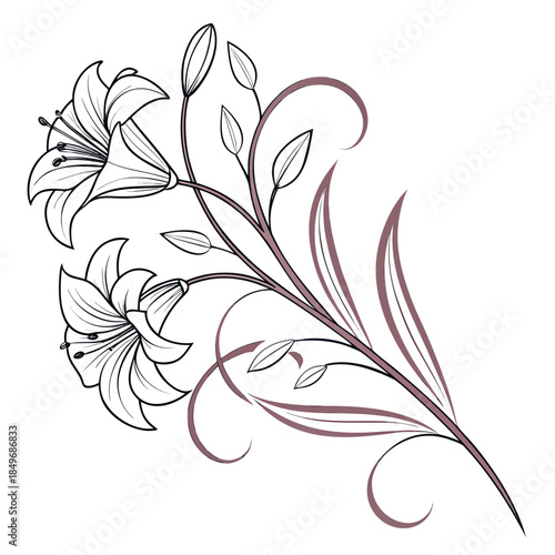 Organic Abstract Floral Form  Clean Vector Art  Pu Vector Illustration Isolated on White Background