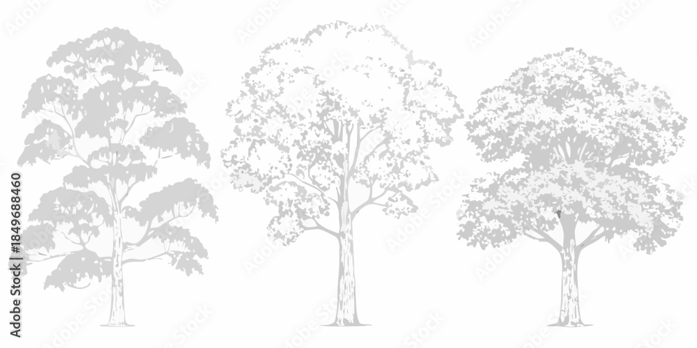 Fototapeta premium Simple illustration of three different trees with detailed foliage and trunks