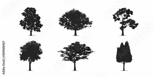 Collection of diverse black silhouettes depicting different types of trees