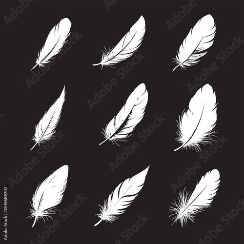 A total of nine white feathers arranged on a black background, displaying different angles and sizes, highlighting their delicate features and graceful designs