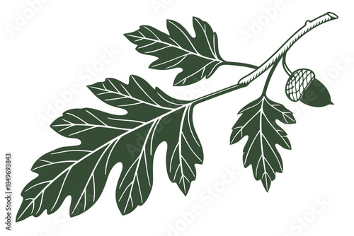 Single Green Leaf Minimal Vector Illustration  Pur Vector Illustration Isolated on White Background