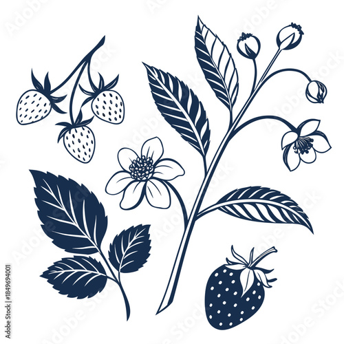 Botanical Icons Collection  Clean Flat Vector  Pur (1) Vector Illustration Isolated on White Background
