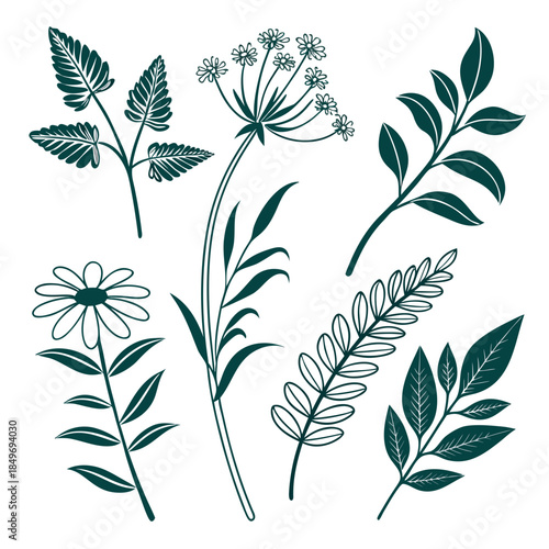 Botanical Icons Collection  Clean Flat Vector  Pur (3) Vector Illustration Isolated on White Background