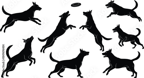 Dog silhouette action set showing jumping, running, and playing poses, black animal vector illustration collection isolated on white background