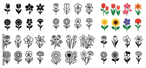 Black and colorful flower silhouettes and icons