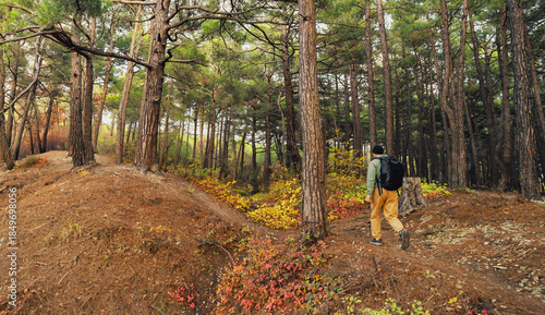 Fotografie Hiking in the autumn hilly forest