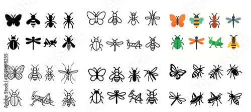 Insect icon collection: butterflies, bees, dragonflies
