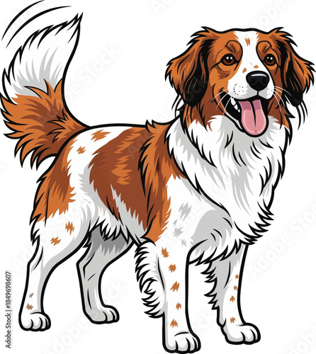 Kooikerhondje dog standing happy panting cute smiling pose