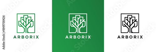 Modern minimalist line art tree logo design template for ARBORIX branding. This vector illustration features a geometric abstract sapling icon neatly enclosed within a square frame, presented in