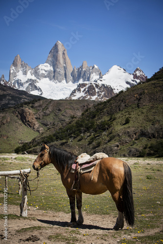 Fitzroy, Patagonie Argentine 