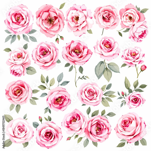 Clipart Wild flowers set, watercolor digital illustration.