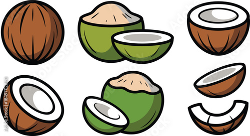 Cartoon coconut fruit illustration set with whole and cut nuts food ingredient for summer drink or cooking healthy eating