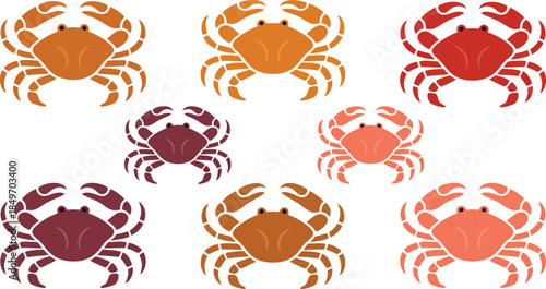 Collection of colorful crabs, seafood crustaceans, marine animals in red, orange and purple shades isolated on transparent background vector