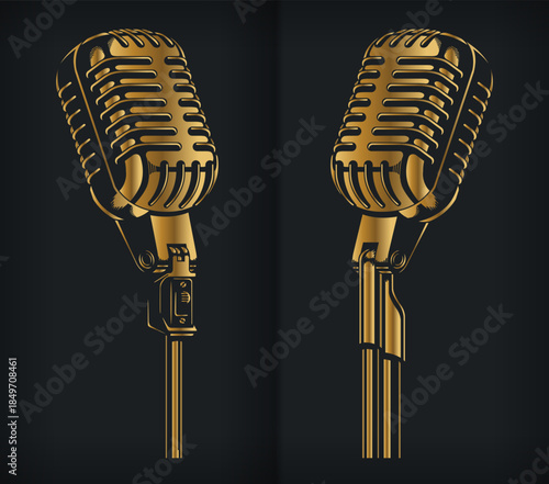 Silhouette Gold Microphone Concert Standing Show
