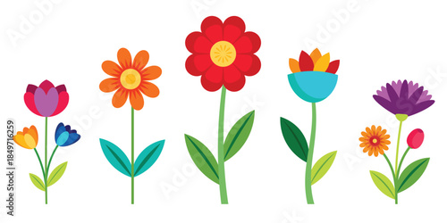colorful flower collection for spring nature garden floral decoration botanical and plant design