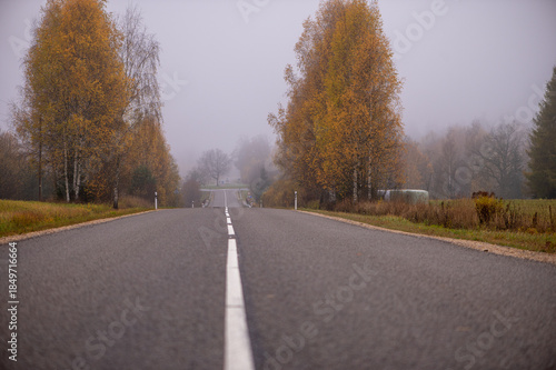 Empty Asphalt Road Through Autumn Trees