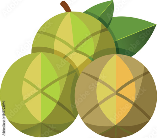 A stylized illustration depicts three round green and tan fruits with distinct segmented patterns, possibly symbolizing walnuts or similar produce, accompanied by deep green leaves suggesting fresh bo