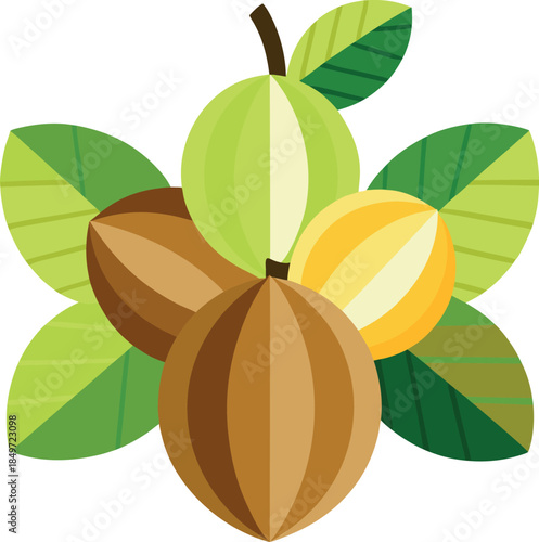 Stylized illustration featuring a cluster of exotic tropical fruits with vibrant green foliage surrounding them emphasizing natural health and diverse harvest appeal