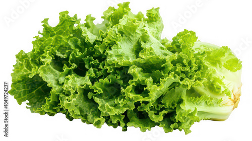 Fresh green curly lettuce leaves isolated on white background

