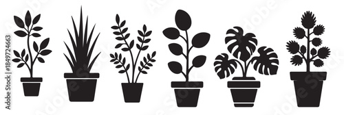 six black silhouette houseplants in pots botanical