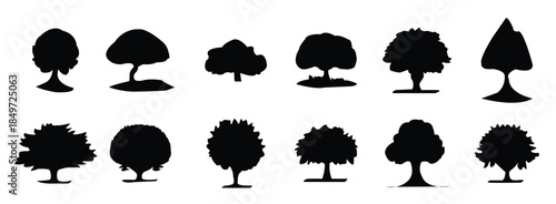  tree silhouettes evergreen forest firs and spruces black
