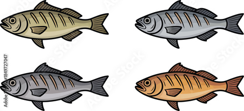 Set of four whole fish in different color variations, depicted with realistic scales and fins, marine life